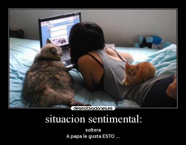 situacion sentimental: - 