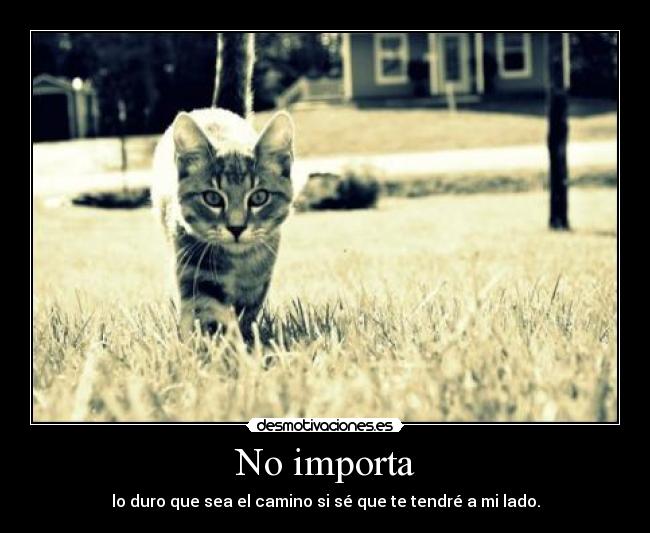 No importa - 