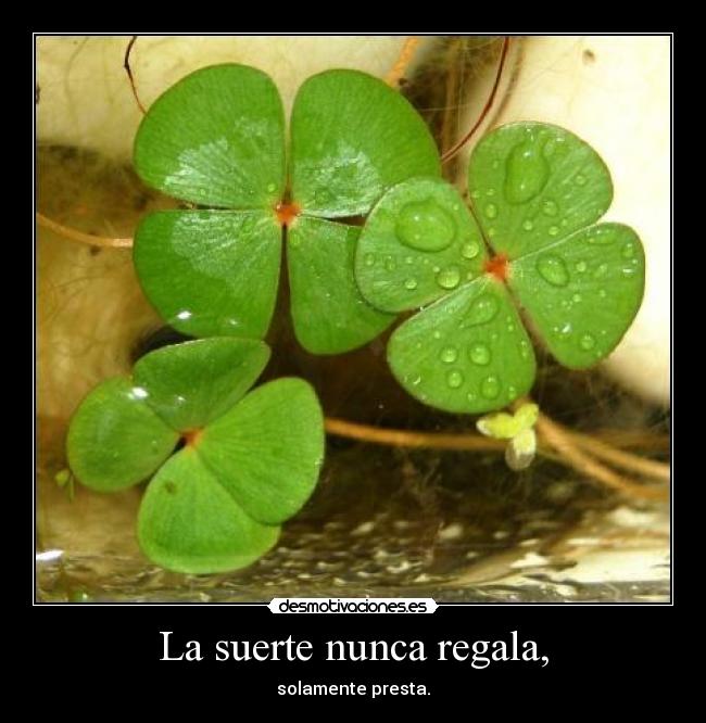 carteles suerte desmotivaciones