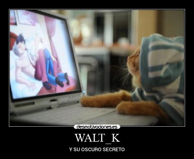 WALT_K -