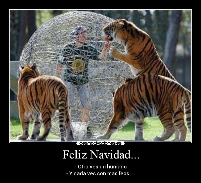 carteles navidad regalo perfecto desmotivaciones