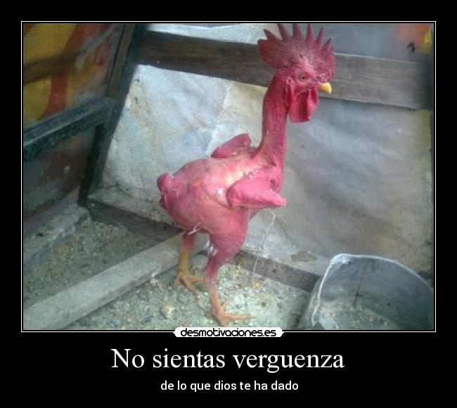 No sientas verguenza -