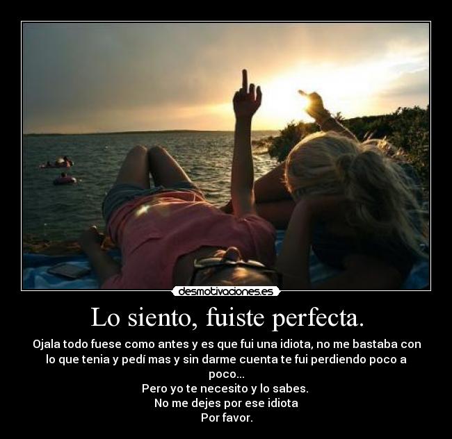 Lo siento, fuiste perfecta. - Ojala todo fuese como antes y es que fui una idiota, no me bastaba con
lo que tenia y pedí mas y sin darme cuenta te fui perdiendo poco a
poco...
Pero yo te necesito y lo sabes.
No me dejes por ese idiota
Por favor.