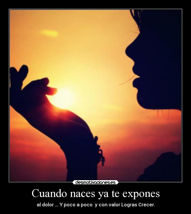 carteles reflexiones desmotivaciones