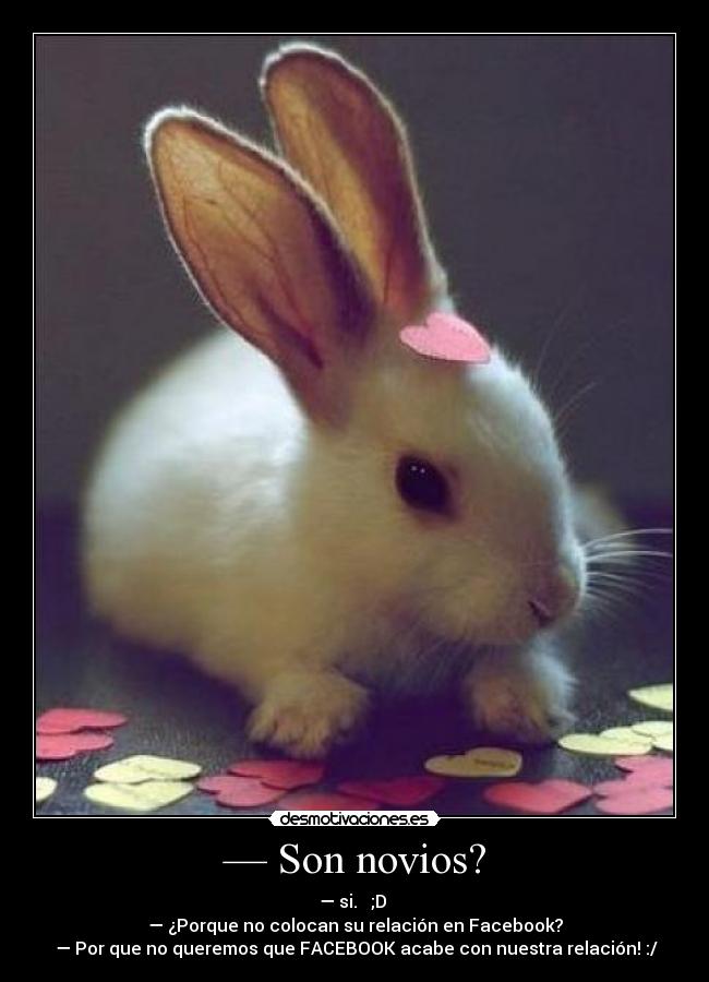 — Son novios? - — si. ♥ ;D
— ¿Porque no colocan su relación en Facebook?
— Por que no queremos que FACEBOOK acabe con nuestra relación! :/