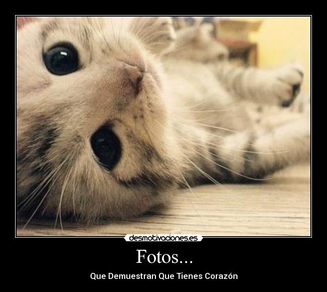 Fotos... - Que Demuestran Que Tienes Corazón