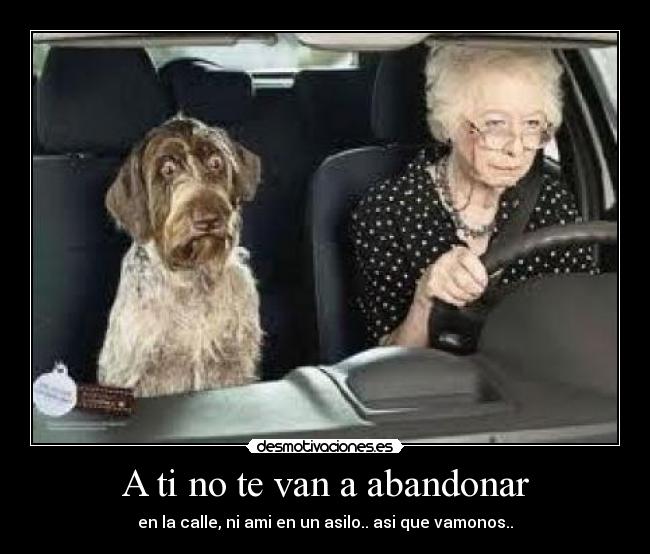 A ti no te van a abandonar -