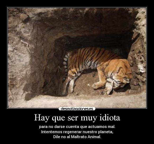 Hay que ser muy idiota - 