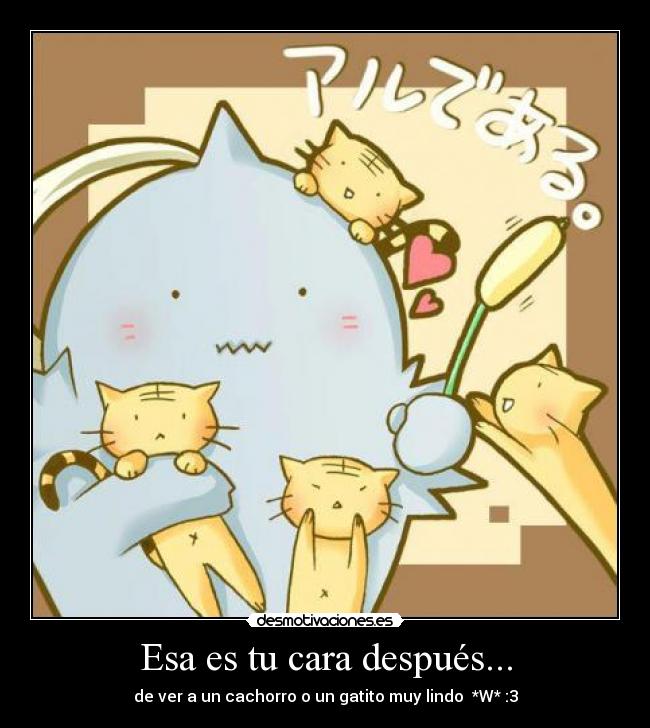 Esa es tu cara después... - de ver a un cachorro o un gatito muy lindo *W* :3