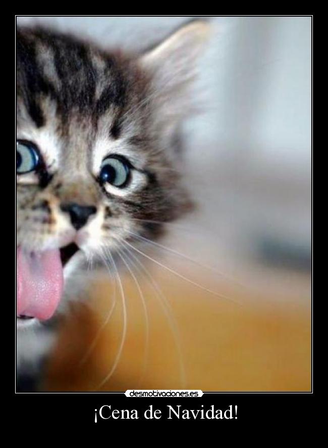¡Cena de Navidad! -