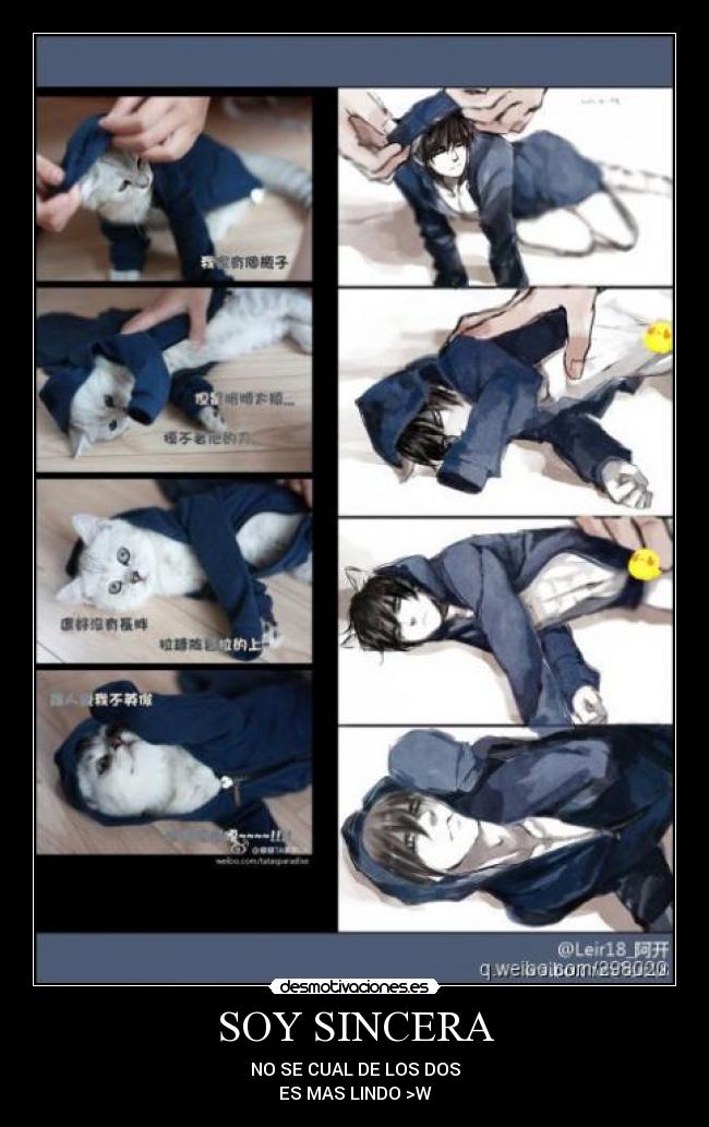 SOY SINCERA - NO SE CUAL DE LOS DOS
ES MAS LINDO >W