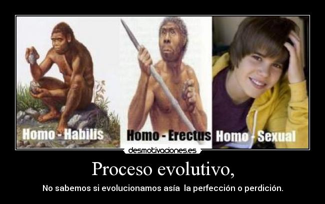 Proceso evolutivo, -