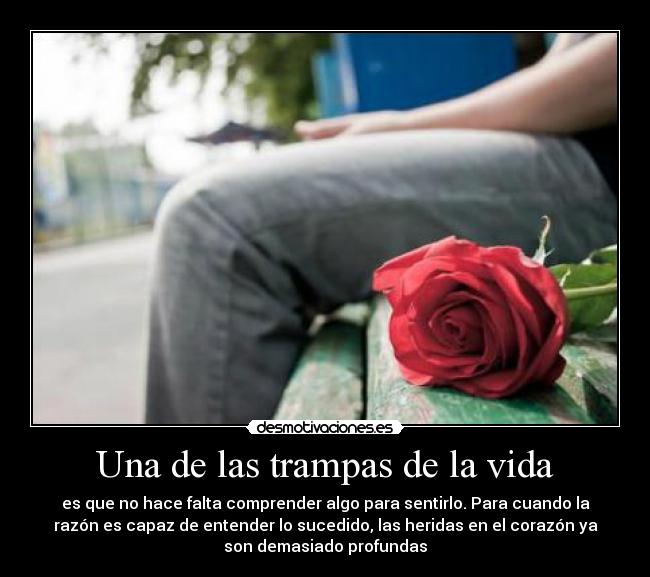 Una de las trampas de la vida - es que no hace falta comprender algo para sentirlo. Para cuando la
razón es capaz de entender lo sucedido, las heridas en el corazón ya
son demasiado profundas