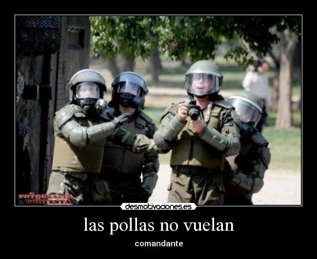 las pollas no vuelan - comandante