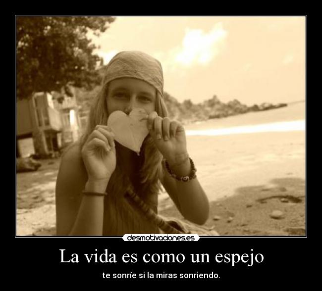 carteles vida vida desmotivaciones