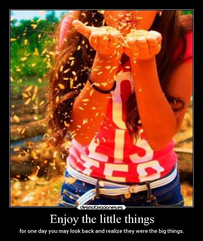 carteles life live love enjoy behappy desmotivaciones