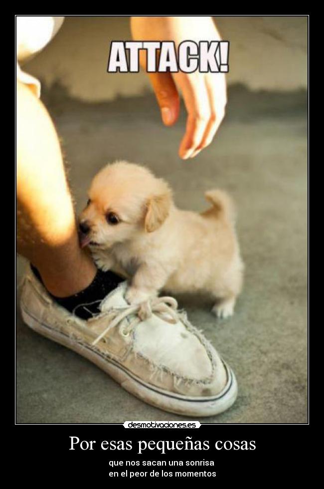 Por esas pequeñas cosas -