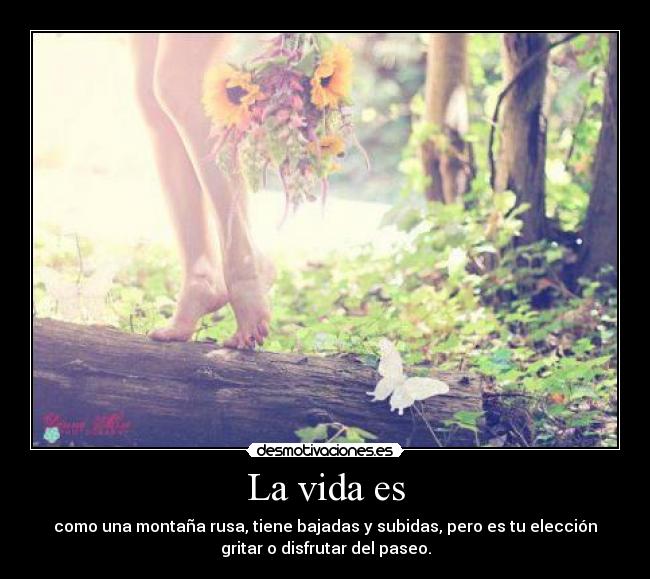 La vida es - 