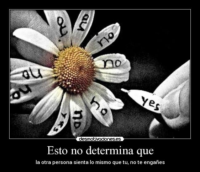 Esto no determina que - 