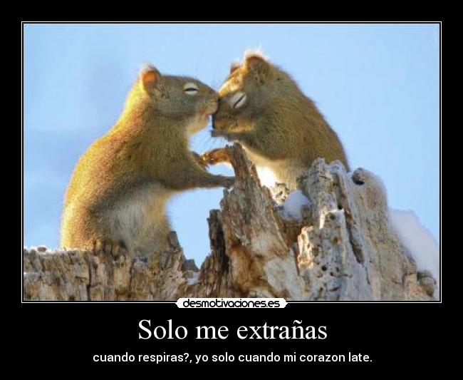 Solo me extrañas - cuando respiras?, yo solo cuando mi corazon late.