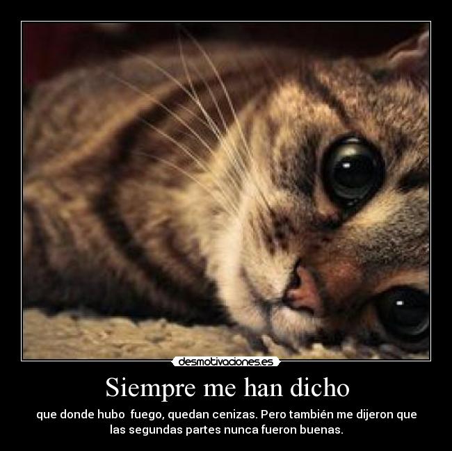 Siempre me han dicho - que donde hubo  fuego, quedan cenizas. Pero también me dijeron que
las segundas partes nunca fueron buenas.