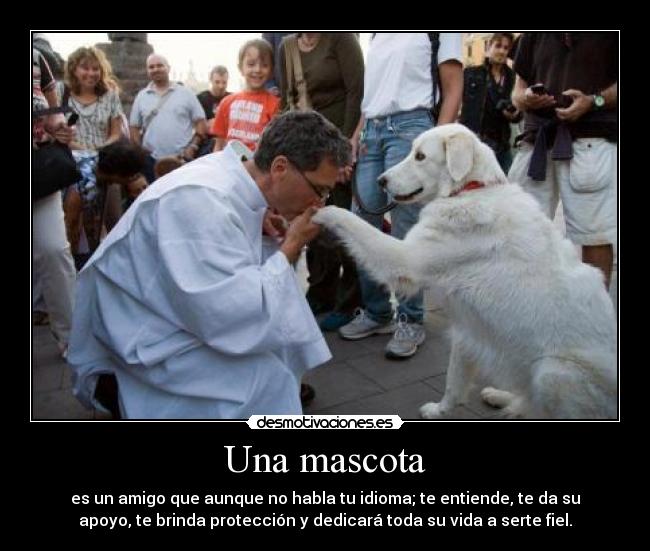 Una mascota -