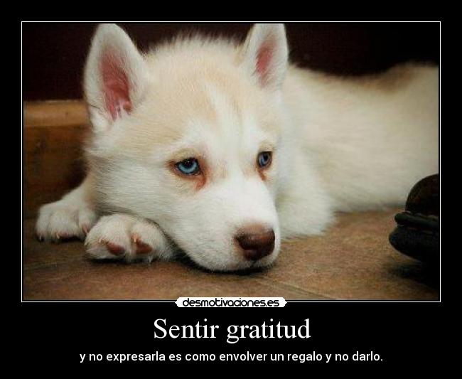 Sentir gratitud - 