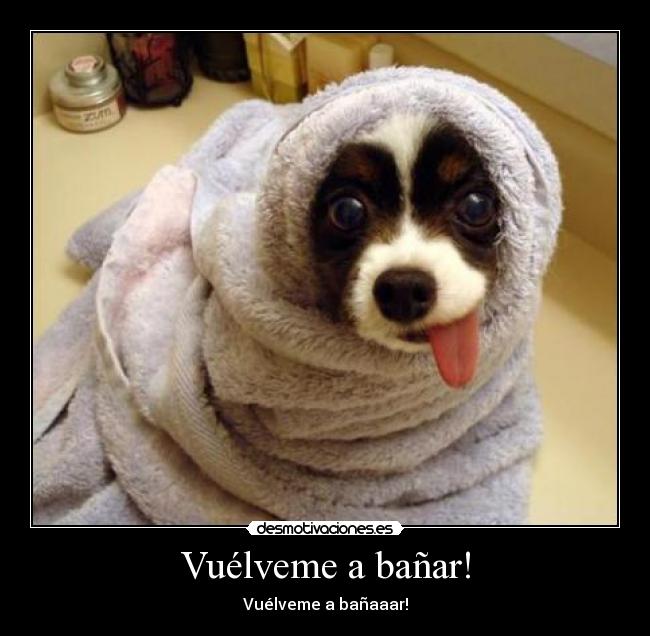 Vuélveme a bañar! - Vuélveme a bañaaar!