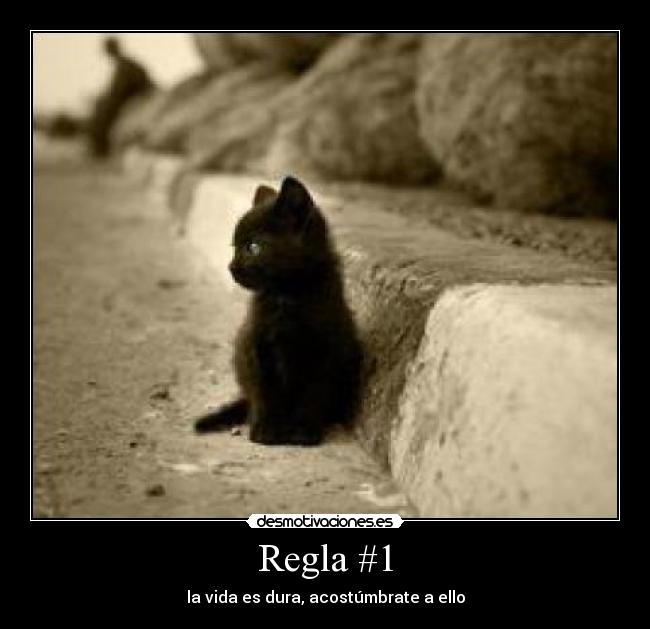 Regla #1 - 