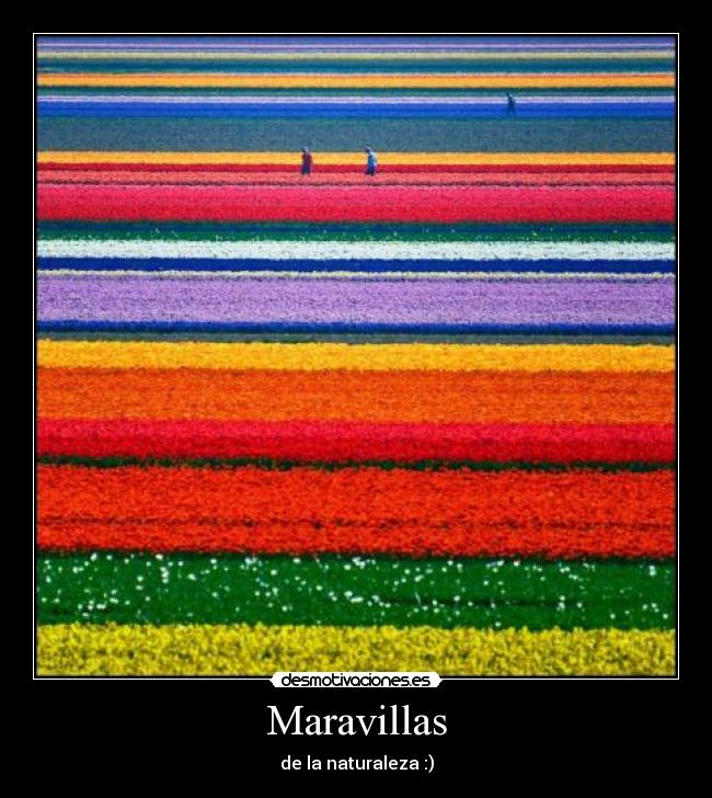 Maravillas - 