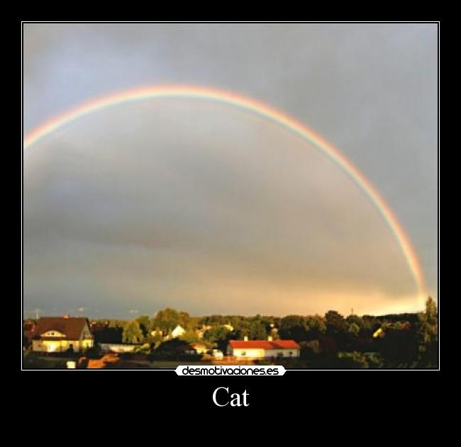 Cat -