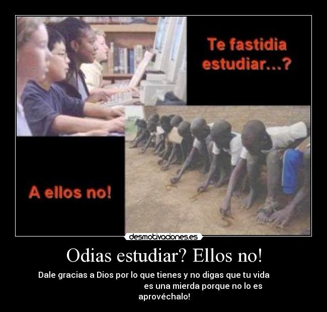 Odias estudiar? Ellos no! - Dale gracias a Dios por lo que tienes y no digas que tu vida          
                                       es una mierda porque no lo es
aprovéchalo!