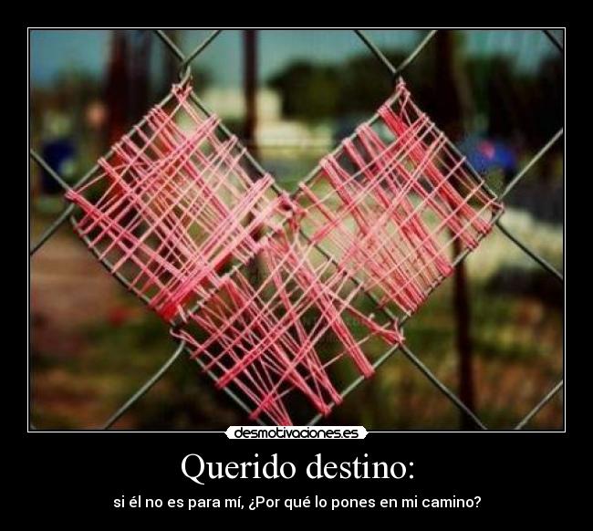 Querido destino: - si él no es para mí, ¿Por qué lo pones en mi camino?
