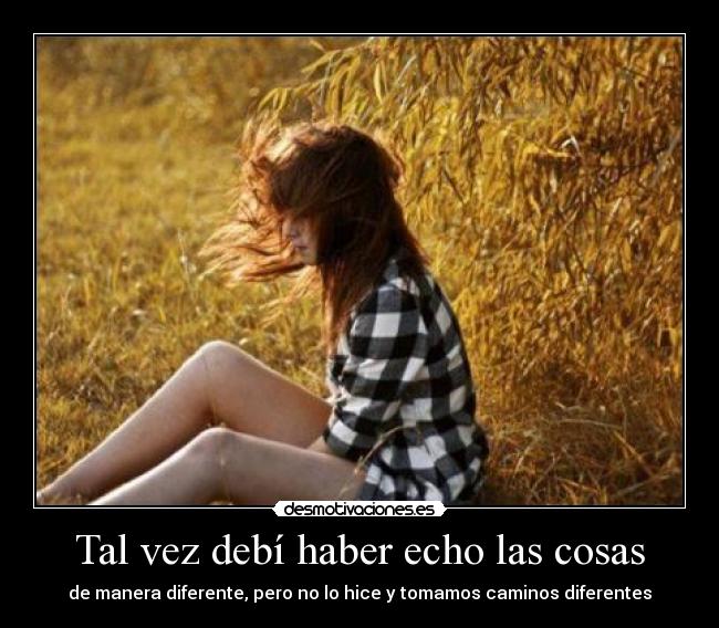 Tal vez debí haber echo las cosas - 