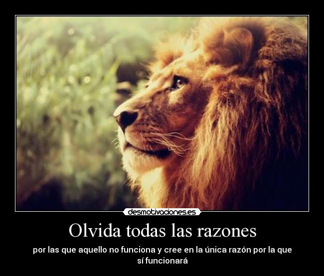 carteles dorito23 desmotivaciones