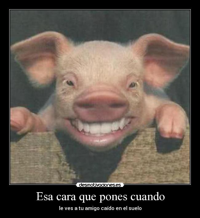 Esa cara que pones cuando - le ves a tu amigo caído en el suelo