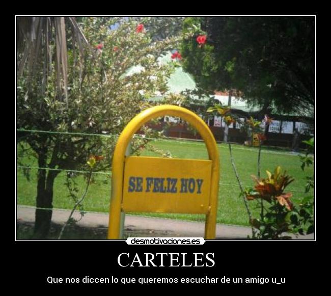 CARTELES - 