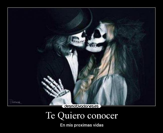 Te Quiero conocer - 