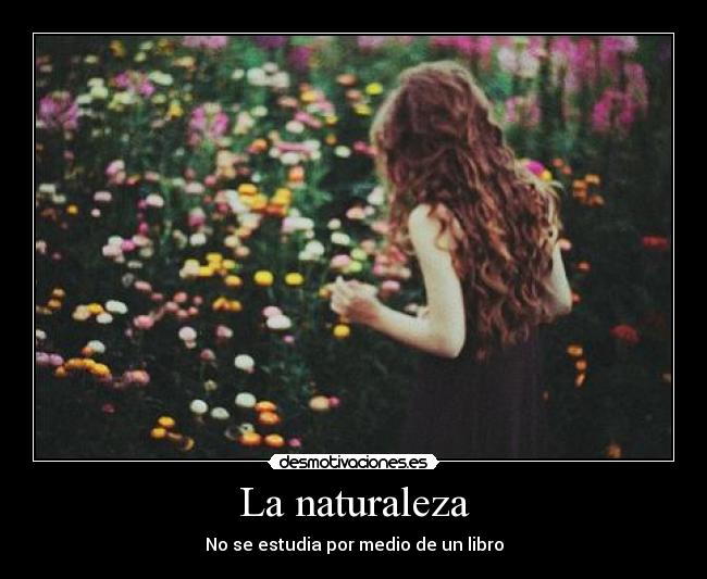 La naturaleza - 
