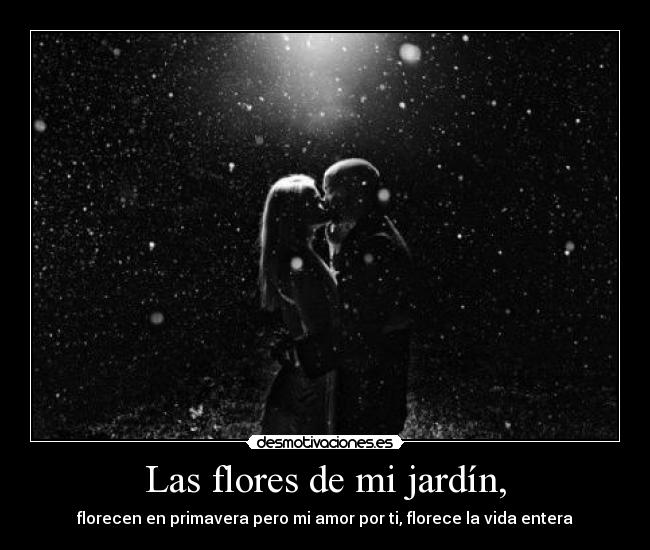 Las flores de mi jardín, - florecen en primavera pero mi amor por ti, florece la vida entera