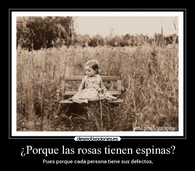 ¿Porque las rosas tienen espinas? - 