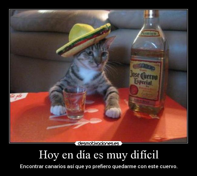 Hoy en día es muy difícil - 