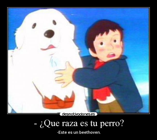 - ¿Que raza es tu perro? -