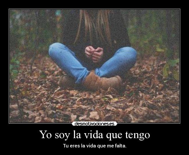 Yo soy la vida que tengo - 