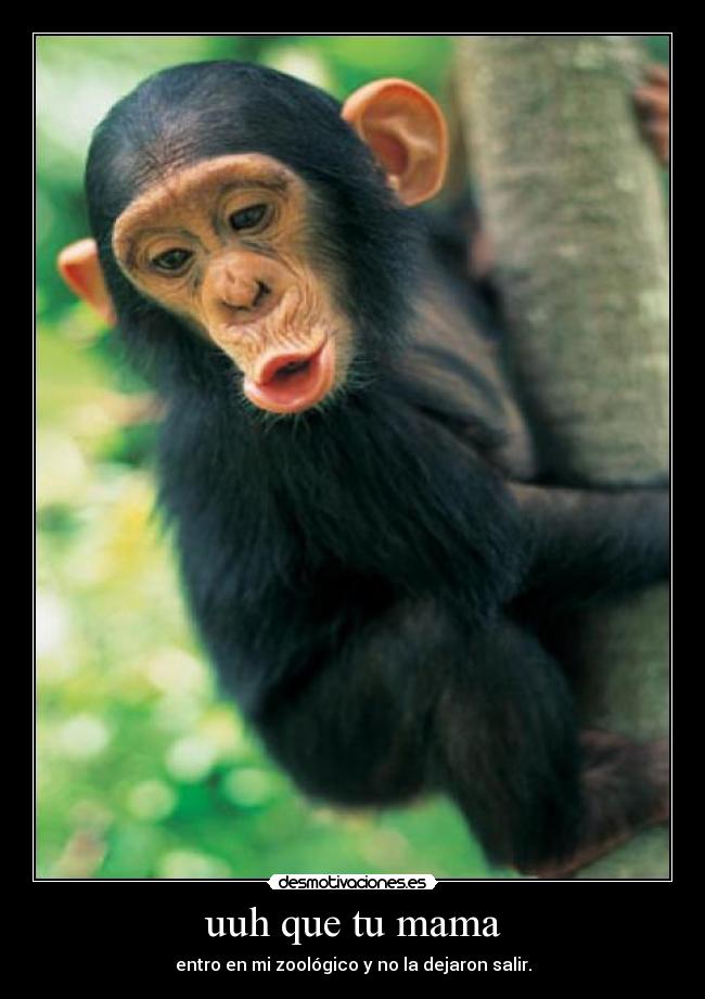 uuh que tu mama - entro en mi zoológico y no la dejaron salir.