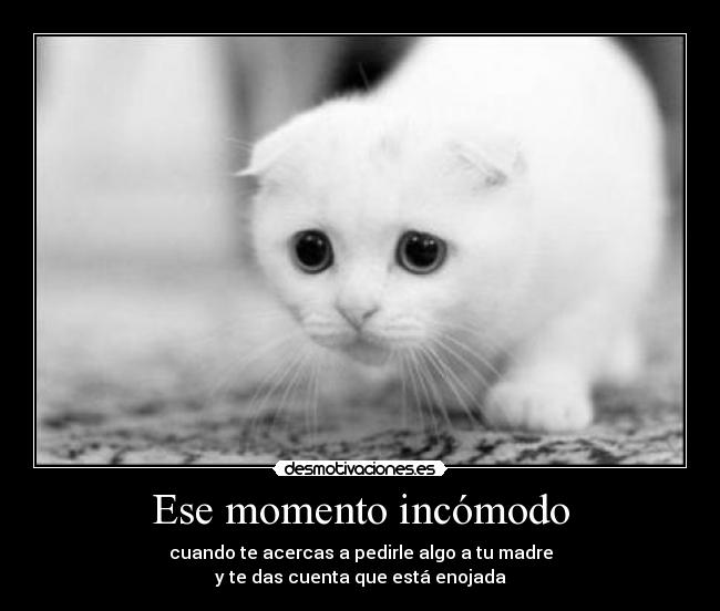 Ese momento incómodo - cuando te acercas a pedirle algo a tu madre
y te das cuenta que está enojada