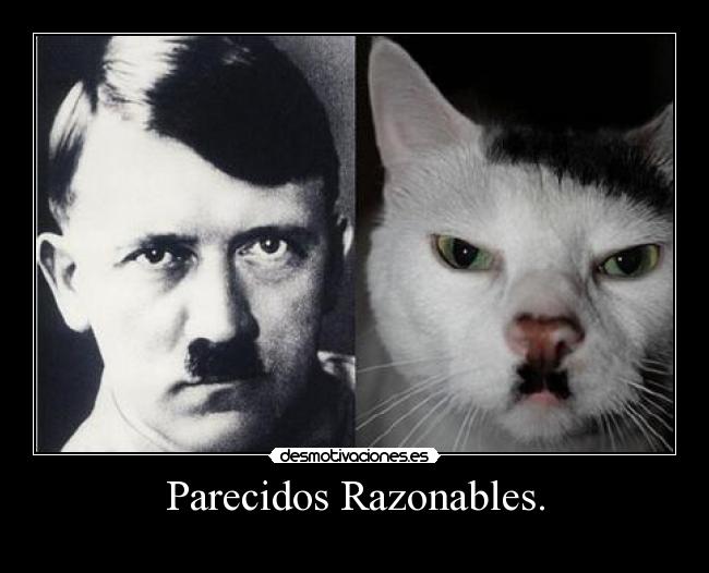 Parecidos Razonables. -