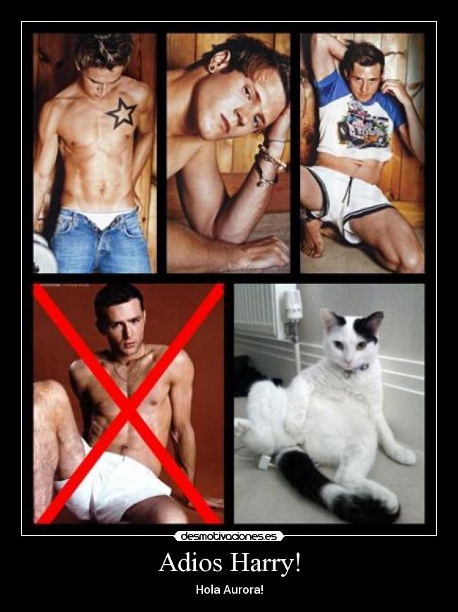 Adios Harry! - Hola Aurora!