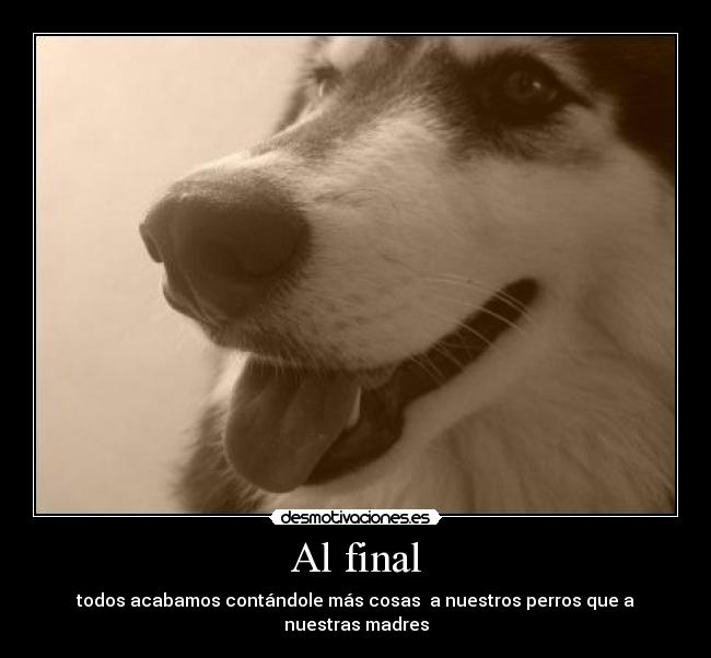 Al final - todos acabamos contándole más cosas a nuestros perros que a nuestras madres