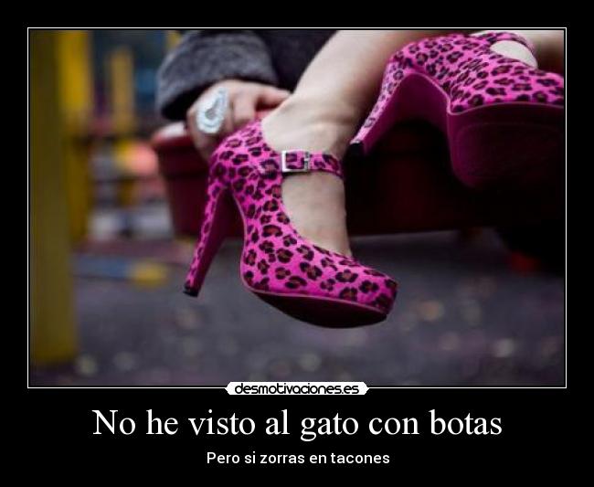 No he visto al gato con botas - 